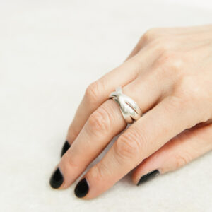 Anillo Praga