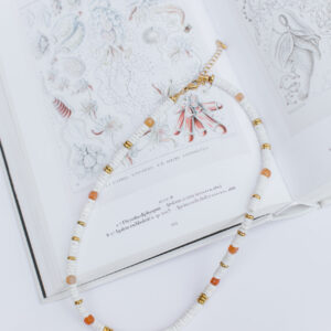 Collar Mar