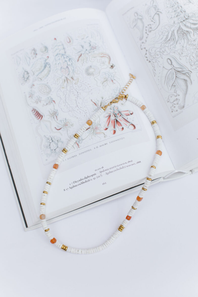 Collar Mar